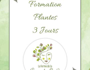 3 jours plantes ( canva)