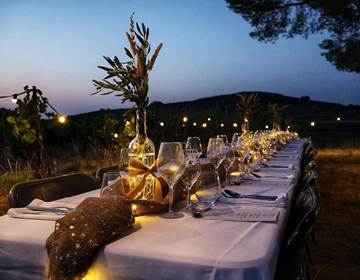 dîner dans les vignes
