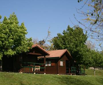 4-bungalow