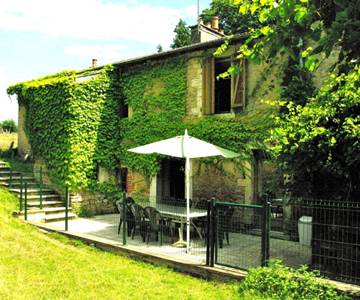 1 terrace