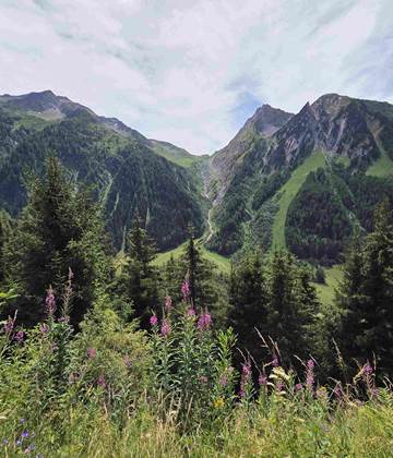 Bisse du Trient