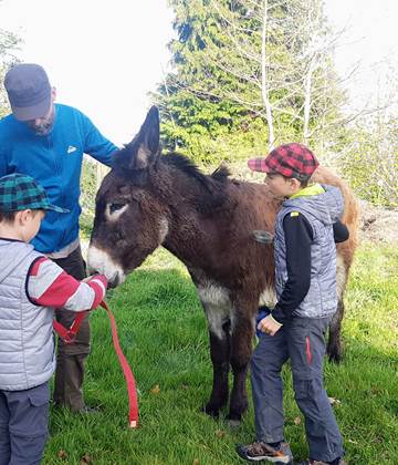 Etape au Ranch des Lacs sur le circuit Monts et Bocage, randonnée avec un âne en Limousin.