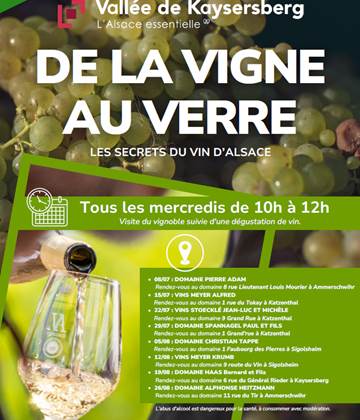 Affiche de la vigne au verre