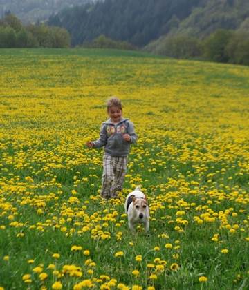 Avril, évadez vous au Ranch des Lacs Maison d'hôtes en Limousin.