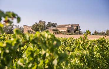 Anciennes dépendances rénovées en loft de charme de 110 m² dans l’Hérault
