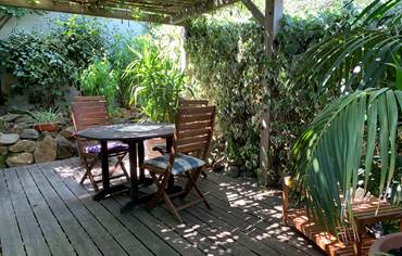 La terrasse est ombragée par une grande glycine
