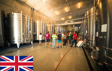 VISITE DECOUVERTE EN ANGLAIS