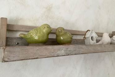 chambre-hote-herault-jardin-5