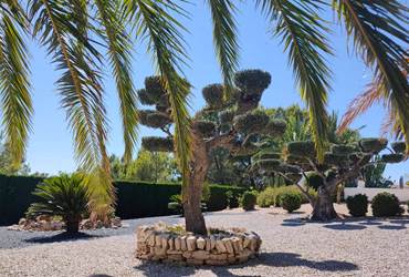Jardin