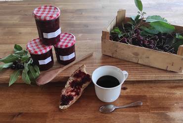 BRITAVIT Confiture de cerises du jardin