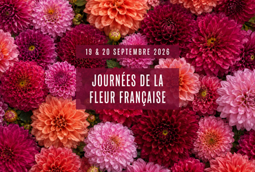Journée fleur française