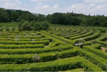 Labyrinthe Géant des Monts de Guéret