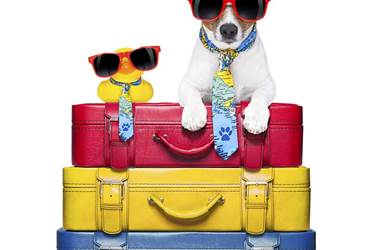istock_000042417604_large