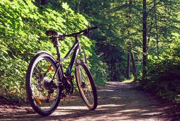 Location vélo