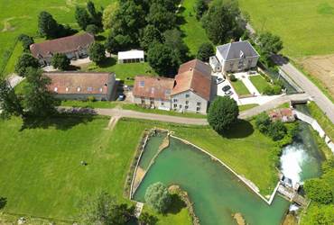 domaine mdlf bd