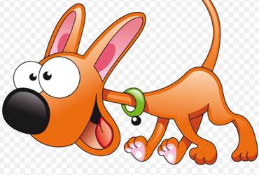 chien