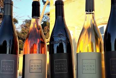 Chateau MontPlaisir en blanc, rose et rouge
