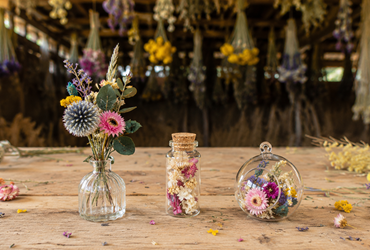 Ateliers créatifs fleurs séchées Terralya