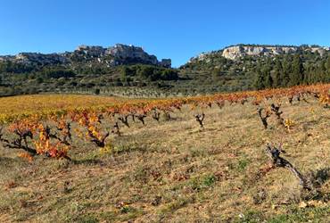 Vins des Alpilles