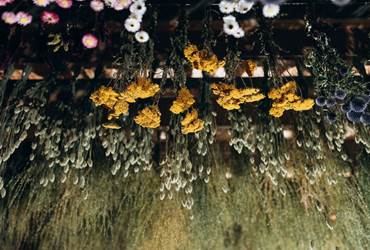 Séchoir fleurs séchées