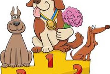 Animation canine