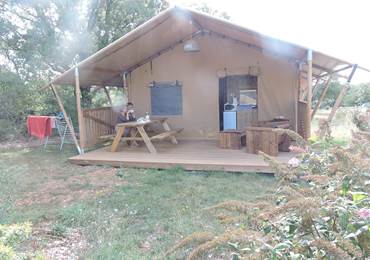 Lodge Woody