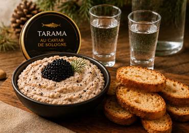 Tarama1