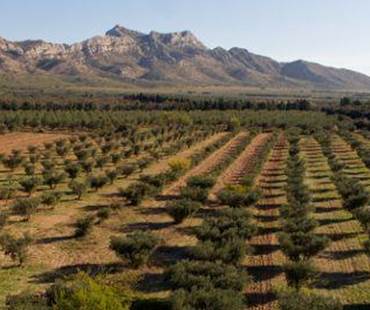 paysages_alpilles_Baux-de-Provence