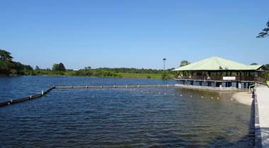 La Mangrove