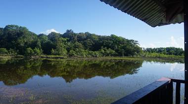 La Mangrove