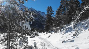 Randonnée raquettes depuis le Pont d'Espagne à Cauterets