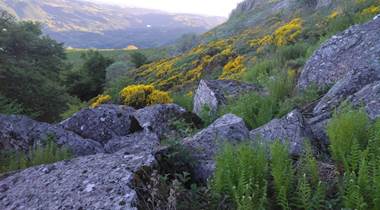 Paysage vu d'un sentier