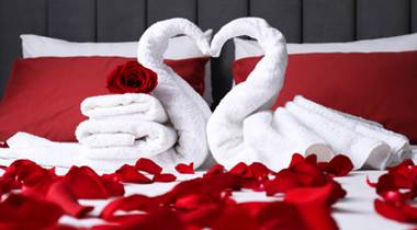 230242263-honeymoon-swans-made-with-towels-and-beautiful-rose-petals-on-bed