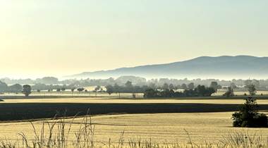 photo-optimisee-2