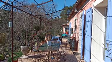 IMG_20250226_131629 (1)