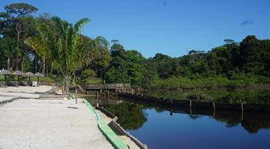 La Mangrove