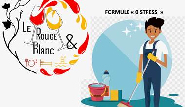 Lerougeetblanc-chambre hote gite-auxerre yonne bourgogne franche comté-piscine spa sauna hammam jacuzzi-famille couple mariage-repas dégustation- repos calme campagne-guedelon vezelay chablis joigny_0 stress