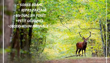 soirée bivouac VIVRE BRAME