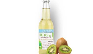Ice kiwi 25cl