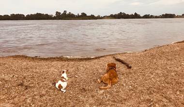 nos amis en bord de Loire