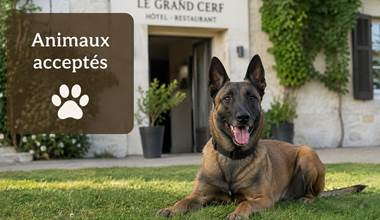 Animaux_acceptes_Le_Grand_Cerf