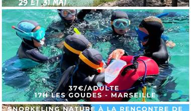 Copie de Copie de grues cendrées