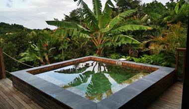 gite-horizon-balisiers-vue-piscine-jardin-tropical