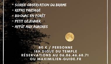 Bivouac brame 2025