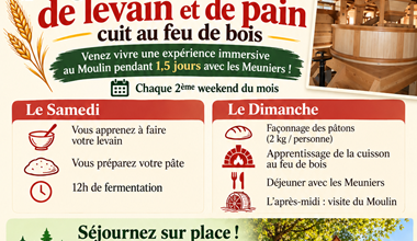 affiche stage pain et levain pour adultes