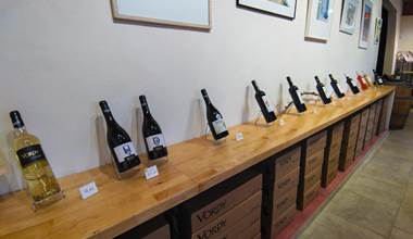Visite de cave et dégustation de vins bios