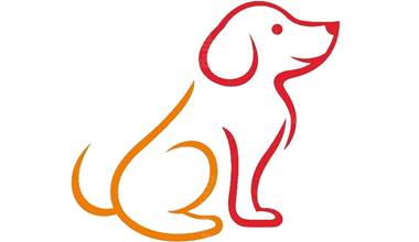 chien