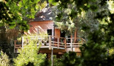 Vue sur la cabane dans les arbres
