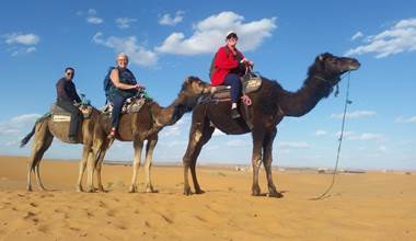 activitee dromadaire-agadir.jps