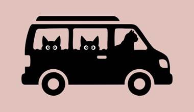 Transport passager